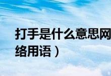 打手是什么意思網(wǎng)絡用語（ds是什么意思網(wǎng)絡用語）
