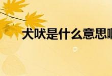 犬吠是什么意思?。ㄈ褪鞘裁磩?dòng)物）