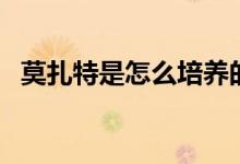 莫扎特是怎么培養(yǎng)的（莫扎特是怎樣死的）
