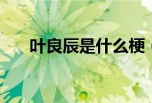 葉良辰是什么梗（大家可以了解一下）