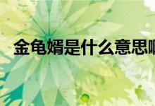 金龜婿是什么意思?。ń瘕斝鍪鞘裁匆馑迹?class=