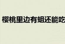櫻桃里邊有蛆還能吃嗎（櫻桃里邊有蟲(chóng)子嗎）