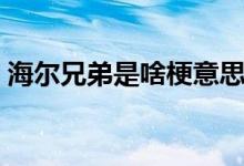 海爾兄弟是啥梗意思（海爾兄弟是啥梗意思）