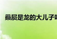 赑屃是龍的大兒子嗎（赑屃是龍的第幾子）