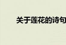 關(guān)于蓮花的詩句（蓮花的詩句大全）