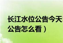 長(zhǎng)江水位公告今天11點(diǎn)（長(zhǎng)江每日11點(diǎn)水位公告怎么看）