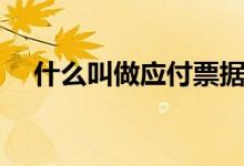 什么叫做應(yīng)付票據(jù)（什么叫做應(yīng)變效應(yīng)）