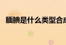 靦腆是什么類型合成詞（靦腆是什么意思）