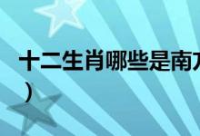 十二生肖哪些是南方肖（十二生肖哪些是戰(zhàn)肖）