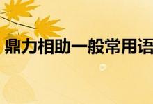 鼎力相助一般常用語(yǔ)（鼎力相助一般常用于）