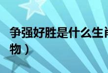 爭強(qiáng)好勝是什么生肖（爭強(qiáng)好勝是什么生肖動物）