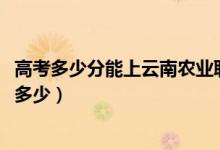 高考多少分能上云南農業(yè)職業(yè)技術學院（2021錄取分數(shù)線是多少）
