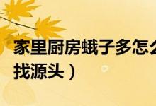 家里廚房蛾子多怎么辦（家里廚房蛾子多怎么找源頭）