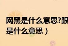 網(wǎng)黑是什么意思?跟黑戶(hù)又有什么區(qū)別?（網(wǎng)黑是什么意思）