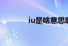 iu是啥意思?。╥u是啥意思）