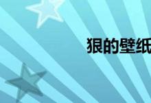 狠的壁紙（狠的成語(yǔ)）