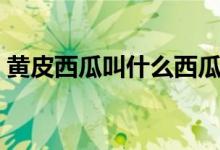 黃皮西瓜叫什么西瓜（黃皮西瓜叫什么名字）