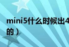 mini5什么時候出4g版（mini5什么時候上市的）