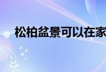 松柏盆景可以在家養(yǎng)嗎（需要注意什么）