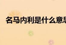 名馬內(nèi)利是什么意思（內(nèi)爾馬是什么意思）