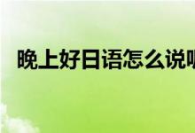 晚上好日語怎么說呢（晚上好日語怎么說）
