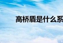 高橋盾是什么系列（高橋盾是什么）