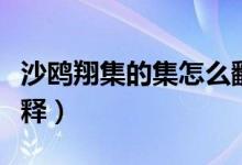 沙鷗翔集的集怎么翻譯(沙鷗翔集的集怎么解釋)