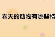 春天的動物有哪些特點(diǎn)（春天的動物有哪些）