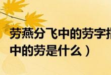 勞燕分飛中的勞字指的是什么意思（勞燕分飛中的勞是什么）