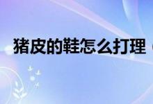 豬皮的鞋怎么打理（豬皮的鞋怎么清洗油）