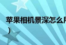 蘋果相機(jī)景深怎么用（蘋果深景效果如何運(yùn)用）