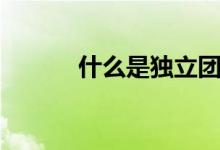 什么是獨(dú)立團(tuán)（什么是獨(dú)贏盤(pán)）