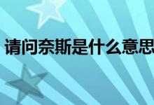 請(qǐng)問奈斯是什么意思（網(wǎng)上奈斯是什么意思）
