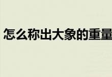 怎么稱出大象的重量（怎么稱出大象的重量）