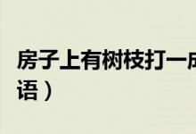 房子上有樹(shù)枝打一成語(yǔ)（房子上有樹(shù)枝打一成語(yǔ)）