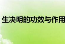生決明的功效與作用禁忌（這里有詳細介紹）