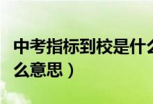 中考指標(biāo)到校是什么意思（中考指標(biāo)到校是什么意思）
