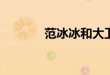 范冰冰和大衛(wèi)的電影有哪些？