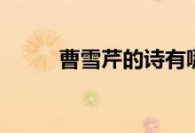 曹雪芹的詩有哪些(曹雪芹簡介)