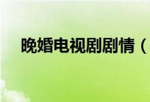 晚婚電視劇劇情（晚婚電視劇劇情簡述）