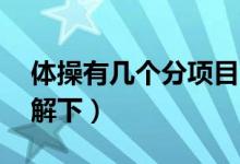 體操有幾個分項目,分別為什么（快來這里了解下）