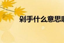剁手什么意思?。ǘ缡质裁匆馑迹?class=