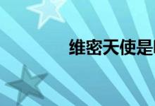 維密天使是哪個國家的品牌