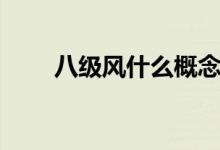 八級風(fēng)什么概念（八級風(fēng)什么概念）