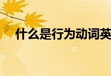 什么是行為動(dòng)詞英語(yǔ)（什么是行為藝術(shù)）
