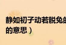 靜如初子動(dòng)若脫兔的故事（動(dòng)若脫兔靜如初子的意思）