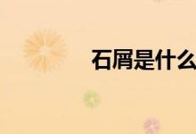 石屑是什么（石屑是什么）