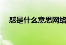 懟是什么意思網(wǎng)絡用語（懟是什么意思）