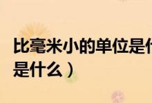 比毫米小的單位是什么樣的（比毫米小的單位是什么）