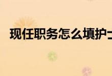 現(xiàn)任職務(wù)怎么填護(hù)士（現(xiàn)任職務(wù)怎么填寫(xiě)）